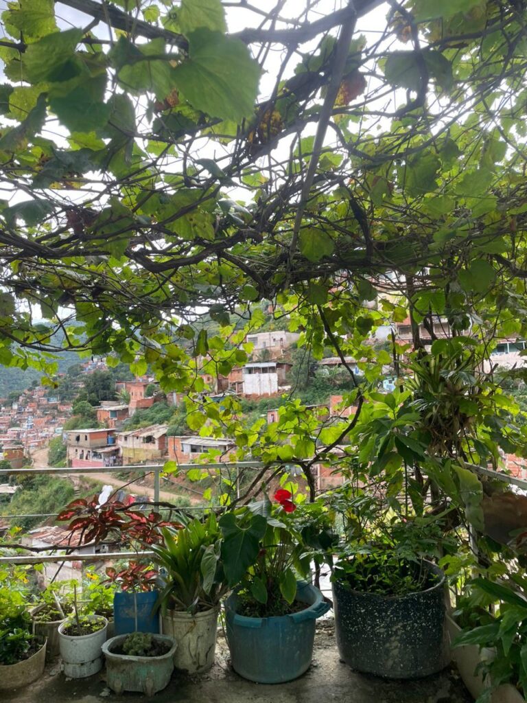 Octubre - Mamera